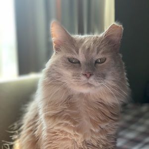 Meet your Posher, Keanu